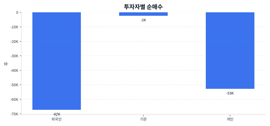 투자자별 순매수