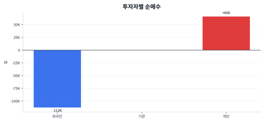 투자자별 순매수