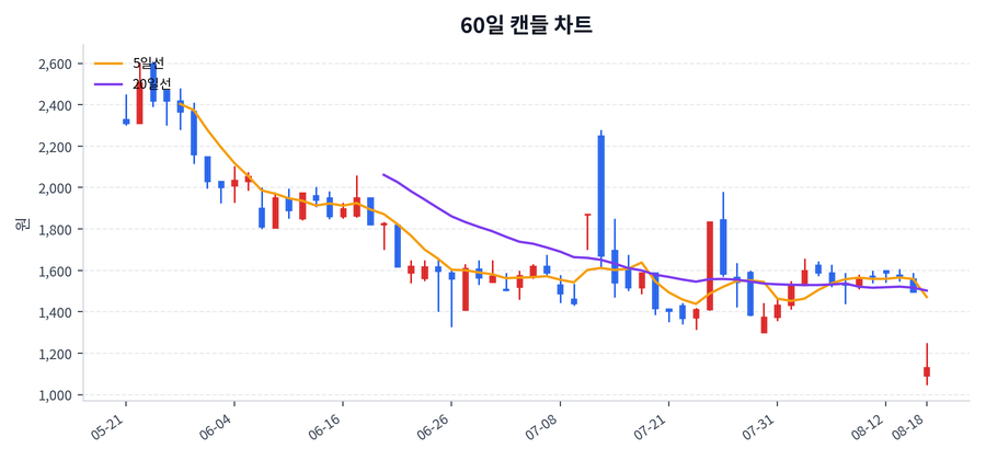 신테카바이오 Price Chart